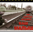 Безопасный транспорт. - Щучанский муниципальный округ
