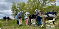 В Курганской области по традиции в апреле стартуют субботники. - Щучанский муниципальный округ